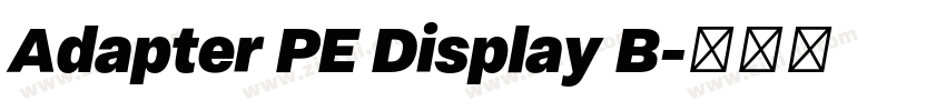 Adapter PE Display B字体转换